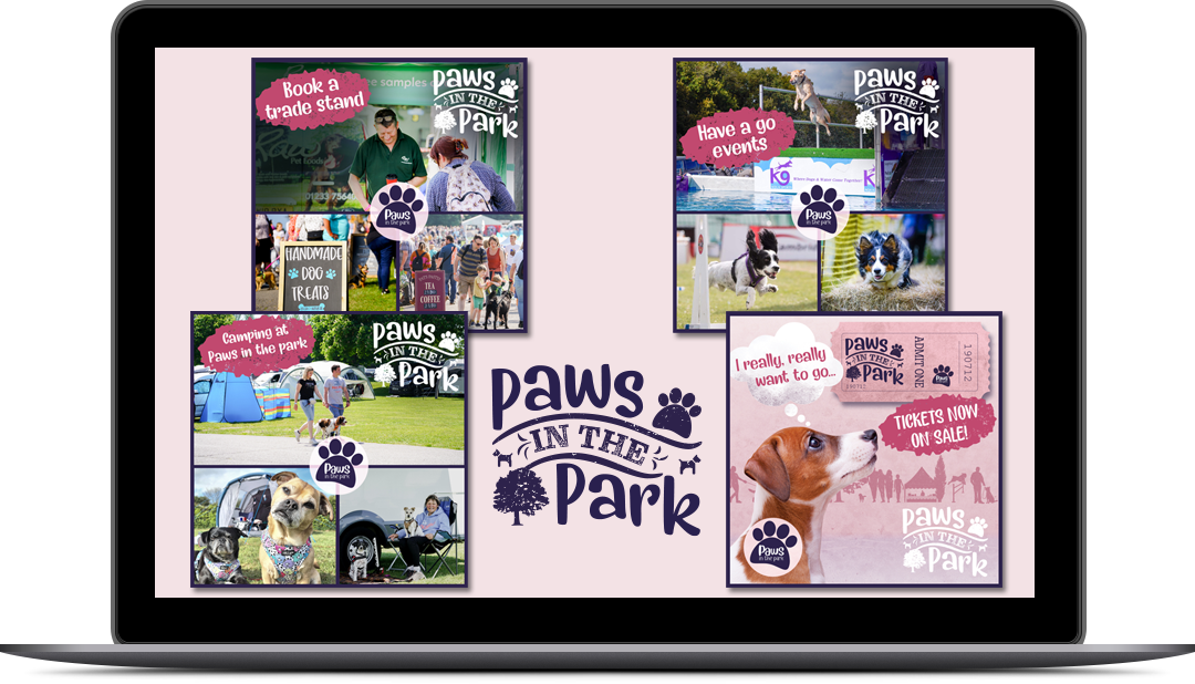 Paws in the Park Social Media designed by Bussroot